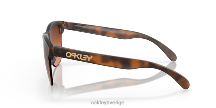 Oakley frogskins lite T8RX0214 prizm bruna gradientlinser, mattbrun sköldpaddsbåge