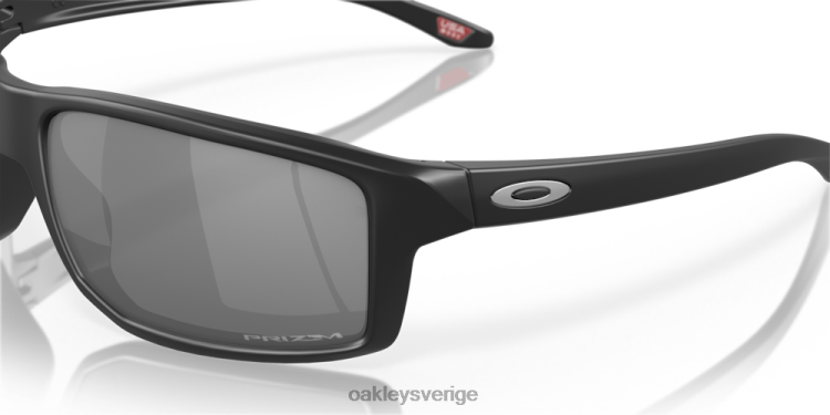 Oakley gibston T8RX0383 prizm svarta linser, mattsvart båge