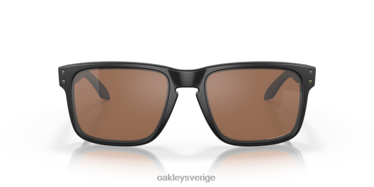 Oakley holbrook T8RX053 prizm volframpolariserade linser, mattsvart båge