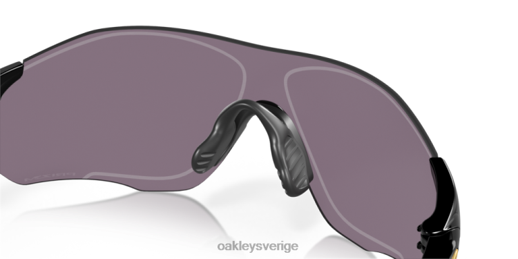 Oakley evzero-bana (låg bropassning) T8RX0890 prizm grå linser, polerad svart båge