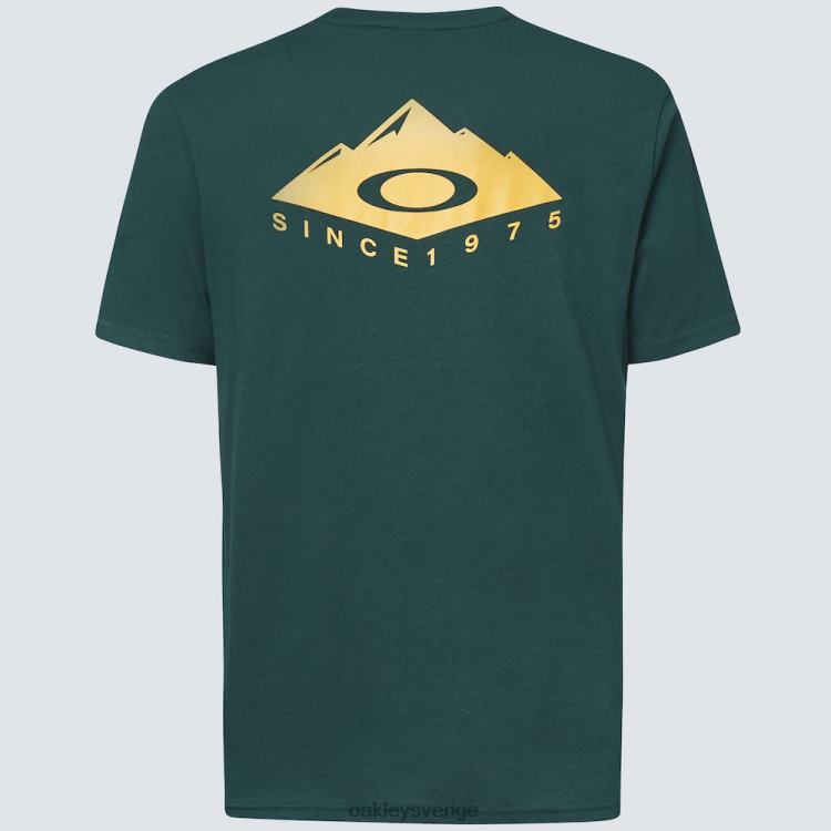 Oakley peak ellips t-shirt T8RX02347 Jägargrönt