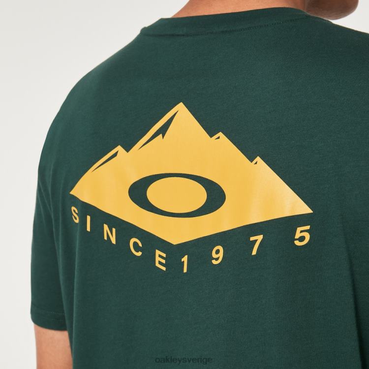 Oakley peak ellips t-shirt T8RX02347 Jägargrönt